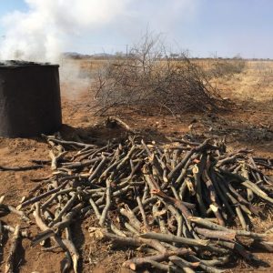 In Namibie worden verplaatsbare ijzeren Kilns gebruikt voor het maken van houtskool